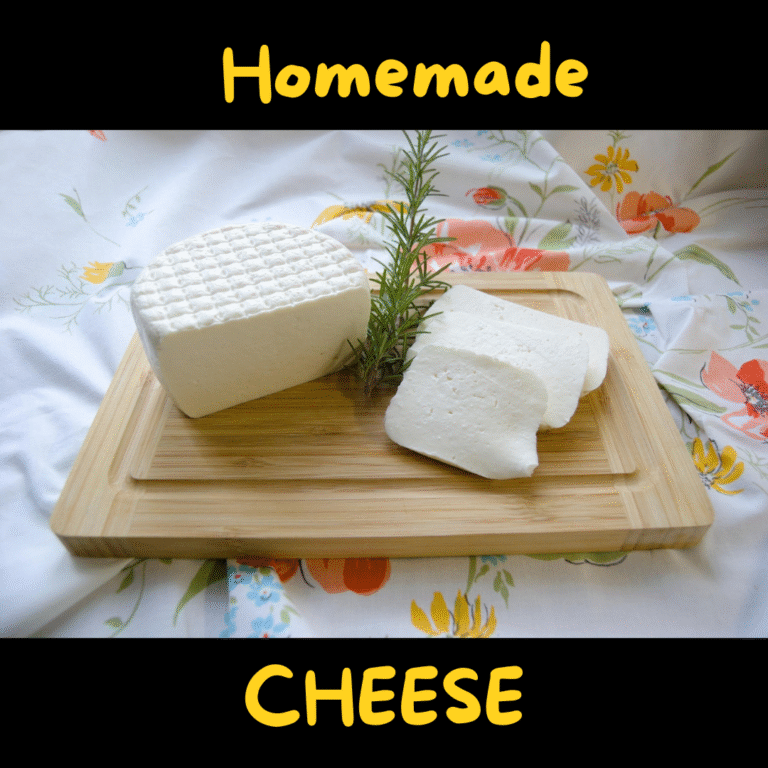 homemade cheese
